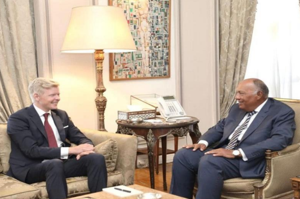 Egypt backs UN role in settling Yemeni crisis, completing the political solution: FM Shoukry