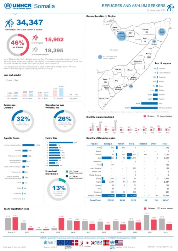 UNHCR Somalia: Refugees and asylum seekers (30 June 2023)