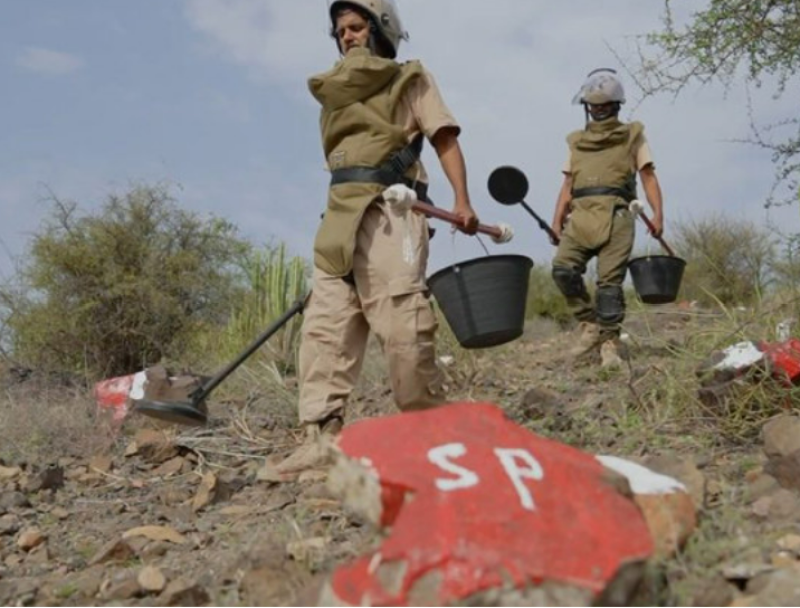 Saudi project clears 733 Houthi mines in Yemen in a week