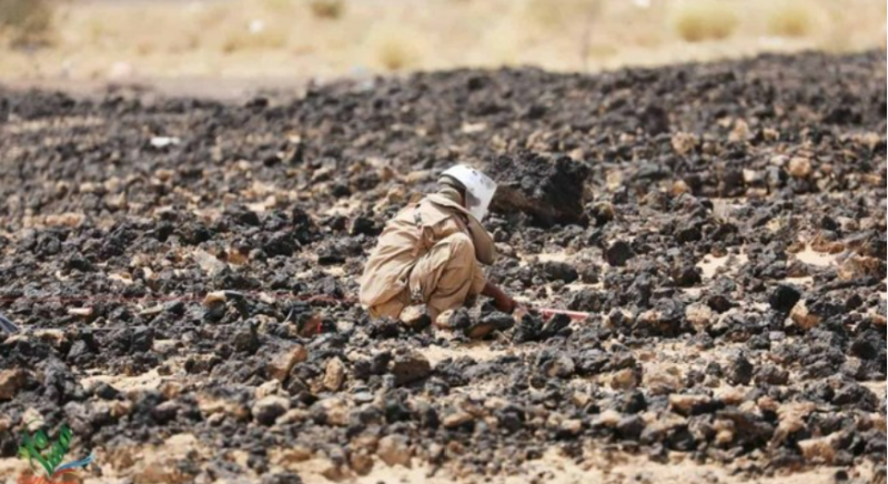 Yemen : MASAM clears 784 Houthi mines