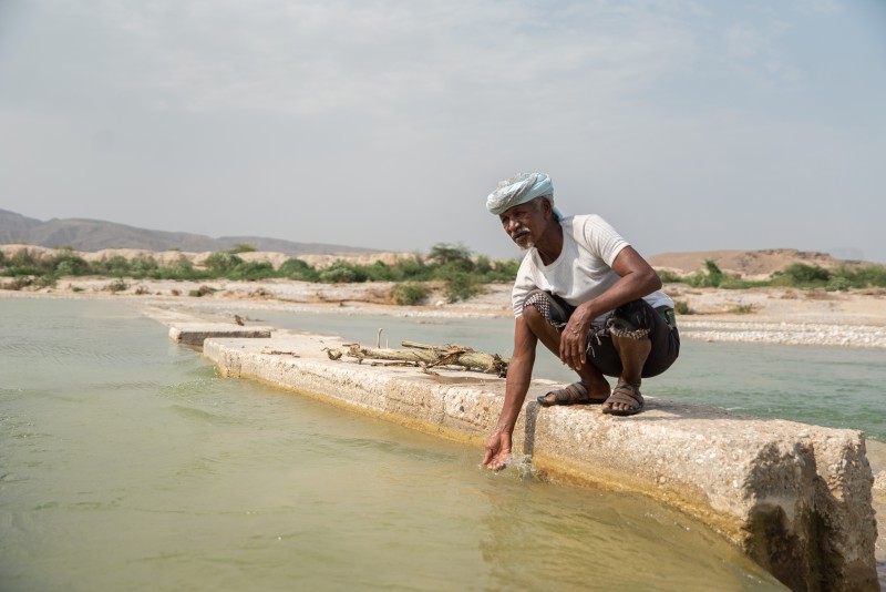 Leveraging Water for Peace: FAO's Experience in Yemen