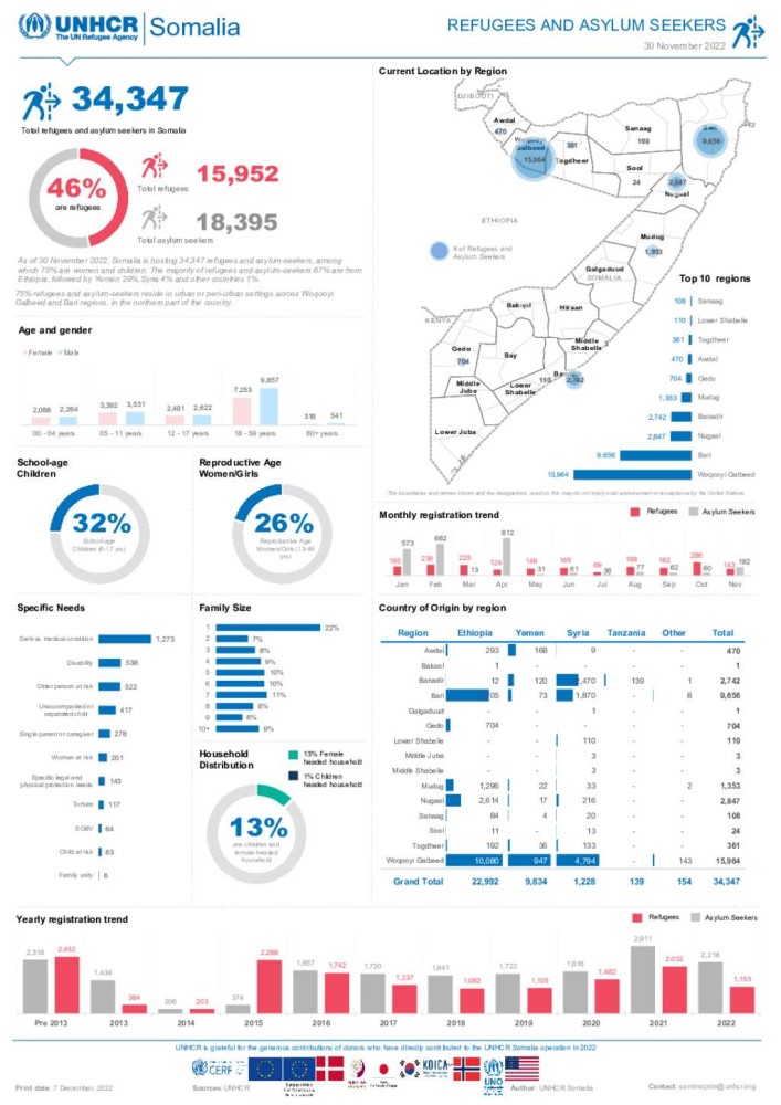 UNHCR Somalia: Refugees and asylum seekers (30 June 2023)