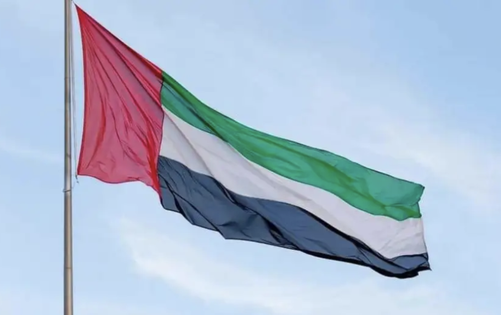 UAE announces full withdrawal of its forces from Yemen