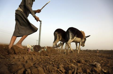 Yemeni minister warns against Houthis recruiting child fighters
