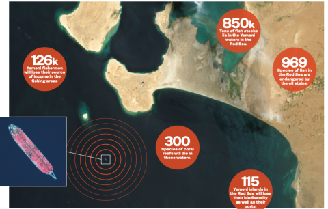 Yemeni gov't records 116 new COVID-19 cases, 844 in total