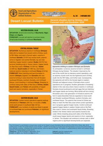 Hunger eclipses fear of Covid-19 in war-ravaged Yemen