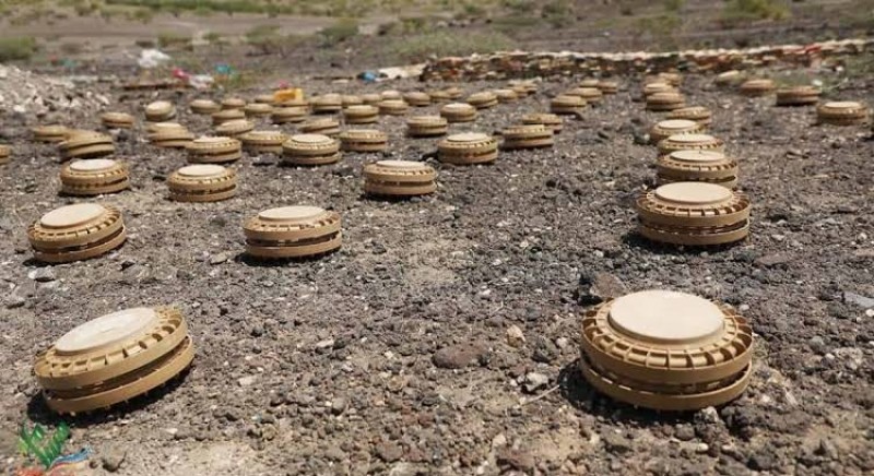 "Masam" project clears 625 mines in Yemen within a week