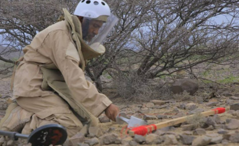 Yemen : Saudi project clears 2,010 Houthi mines