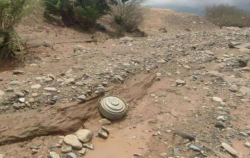 Yemen : KSrelief Masam Project clears 1,579 Houthi explosive devices