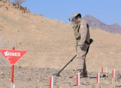 Yemen : MASAM Project clears 732 Houthi mines