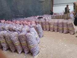 Houthis monopolize Garlic trade, Raise prices