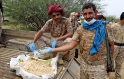 Warning Issued Over Alleged Houthi Scheme to Turn Yemen into Drug Hub