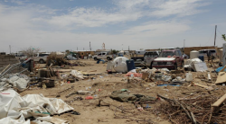 Over 500 People Displaced in Yemen During First Week of November, IOM Reports