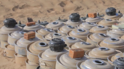 Masam Project Removes 961 Mines in Yemen Within One Week