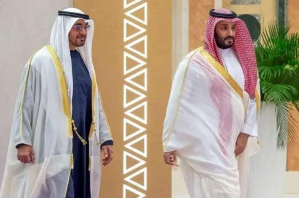 UAE President, Saudi Crown Prince discuss Middle East stability, Two-State solution