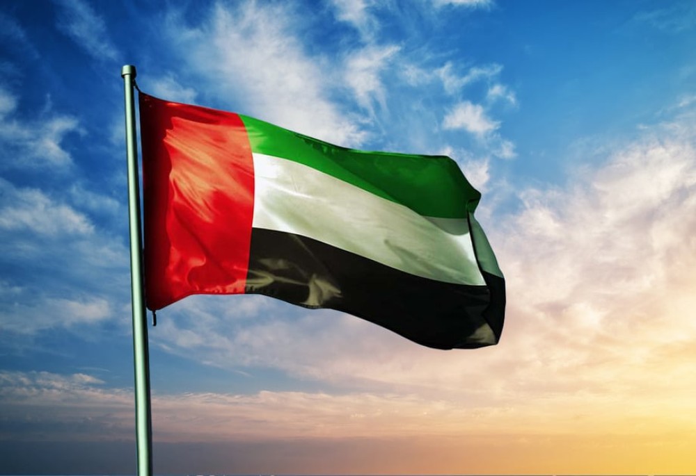 UAE Calls for Immediate , Permanent Ceasefire in Gaza