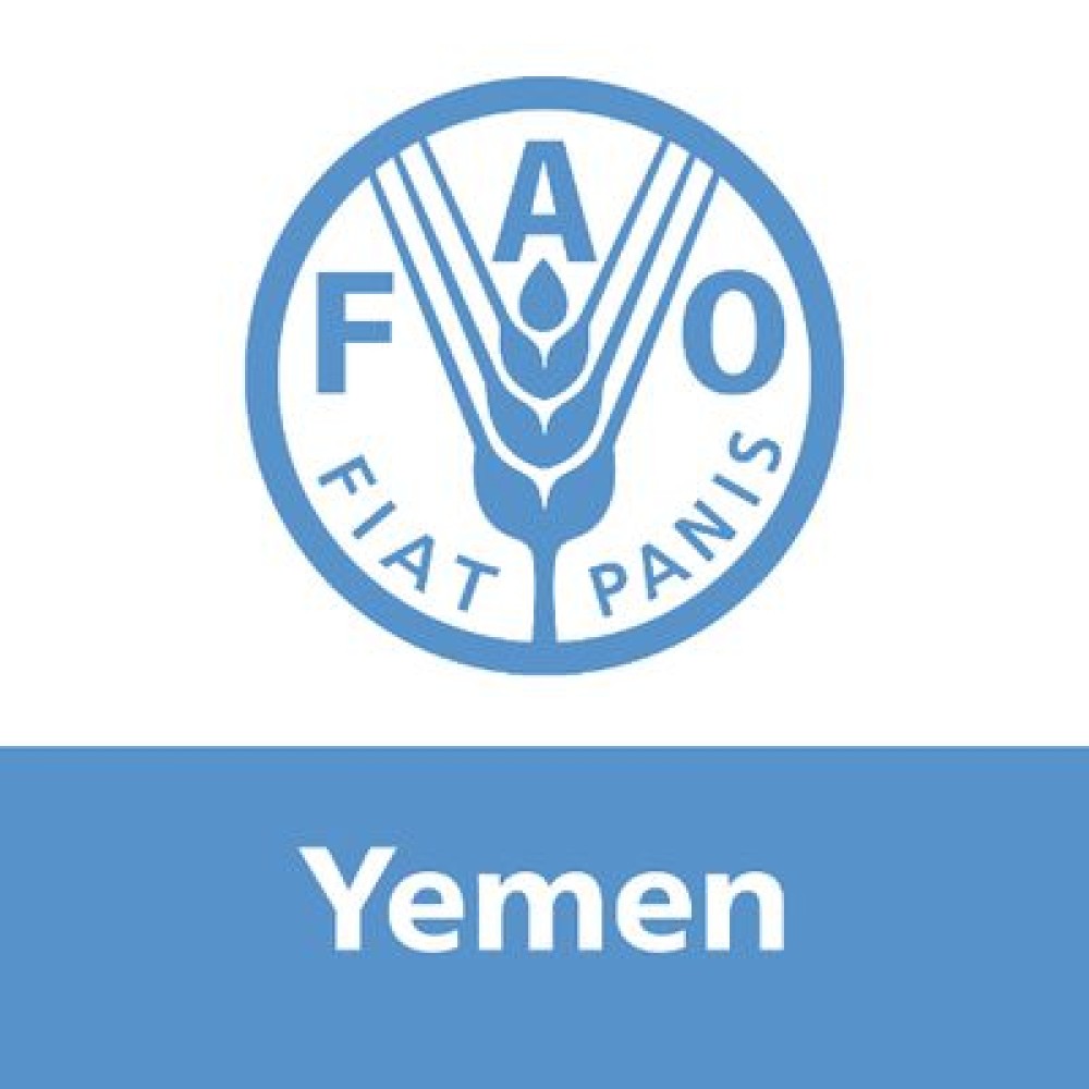 FAO Appeals for Over $86 Million to Support Humanitarian Response in Yemen in 2026