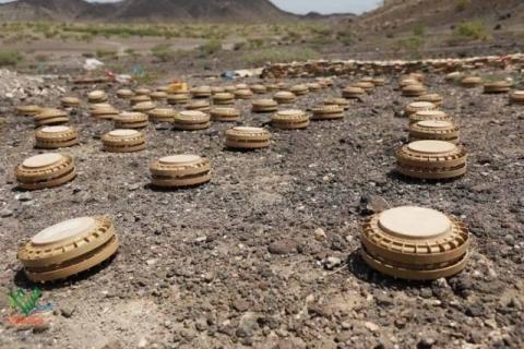 Legitimate Government Demands Deploying Observers In Hodeidah Within a Week