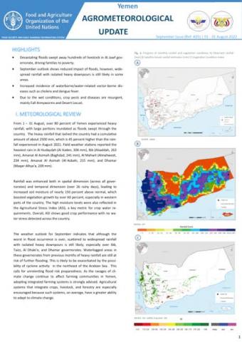 Yemen Must Not Be Forgotten: IOM Requires USD 159 Million to Sustain Life-Saving Work