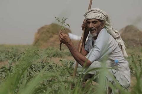 Yemen rebels shell wheat storage site days after visit by UN officials