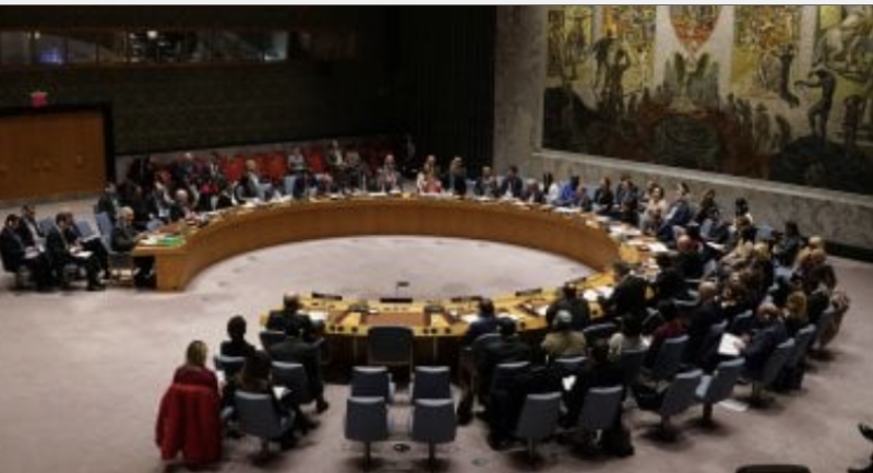 UNSC Renews Yemen Sanctions , Expert Panel Mandate