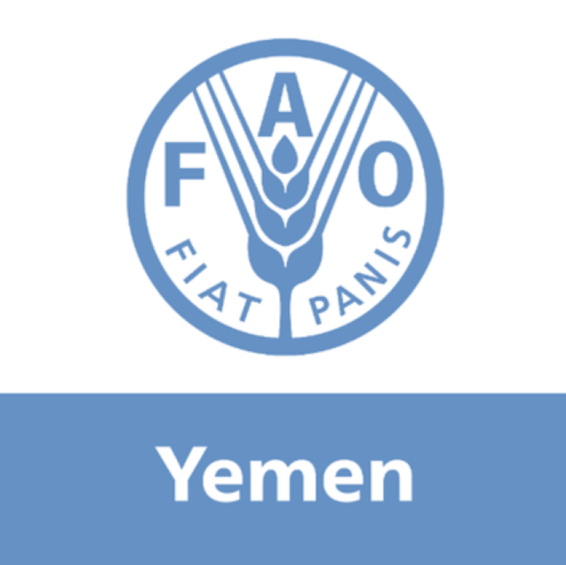 FAO Seeks Over $260 Million to Support Yemen’s Emergency, Resilience, and Development Plan