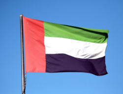 UAE condemns attack on Chad's presidential palace