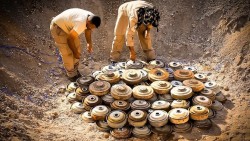 Yemen : “Masam” Clears 1,139 Explosive Devices During First Week of June