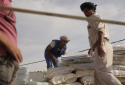 IOM Calls for International Support as Yemen Faces Deadly Flooding