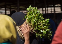 Saudi Authorities Seize Over 800 Kilograms of Khat Near Yemen Border
