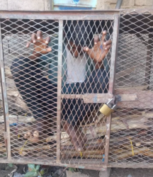 Yemen : Houthi leader Detains Child in Iron Cage