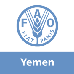 FAO Seeks Over $260 Million to Support Yemen’s Emergency, Resilience, and Development Plan