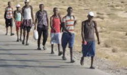 IOM Reports 17,659 Migrants Entered Yemen from Horn of Africa in November 2025